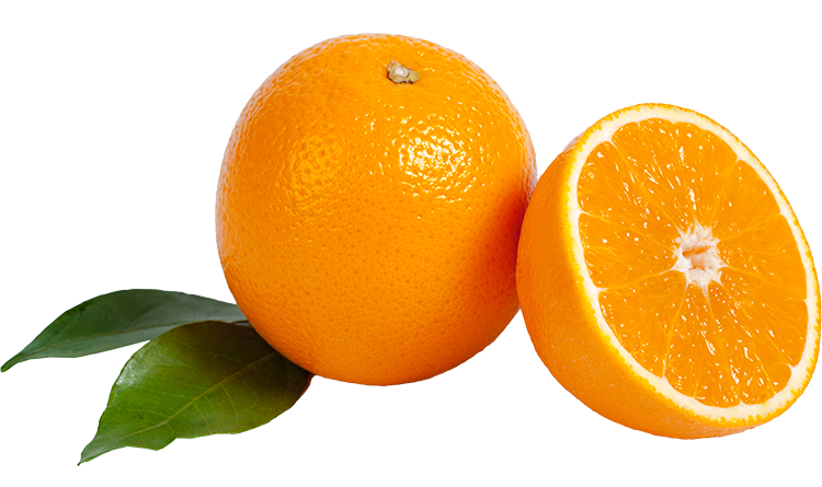 דילמת התפוז | גישור במשפחה | מזר משרד עורכי דין למשפחה וירושה